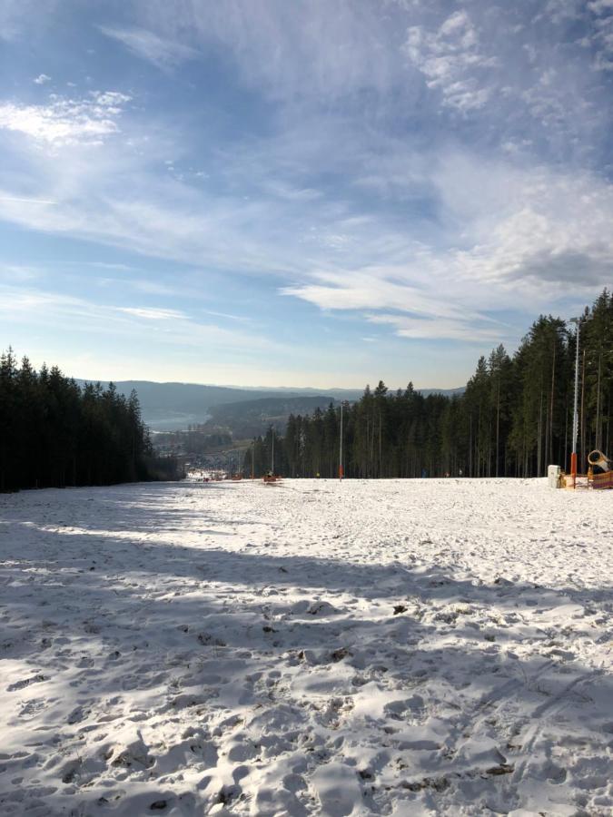 L&b View Modern Apartment Lipno nad Vltavou